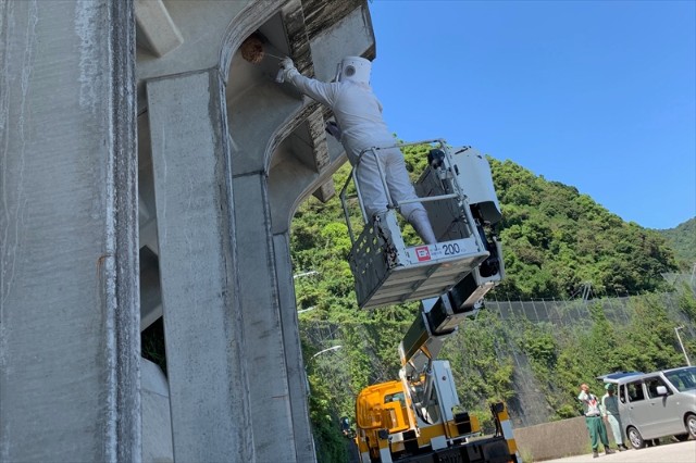 駆除作業