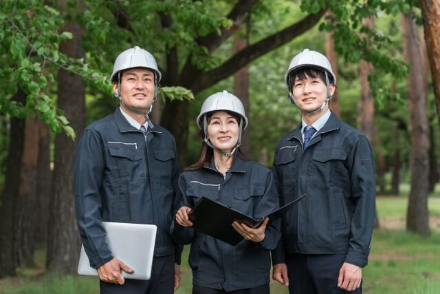 蜂の巣の見つけ方とは?初心者が蜂駆除で陥りやすい危険ポイントも解説