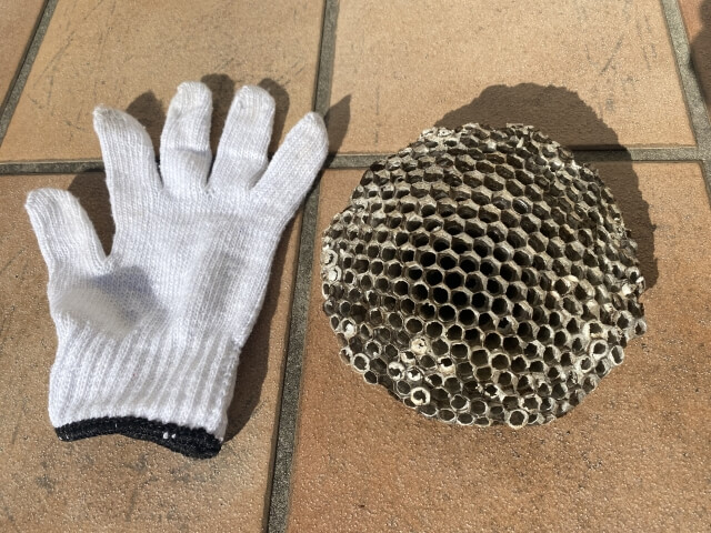 自力駆除は危険!アシナガバチを自分で駆除してはいけない理由とは